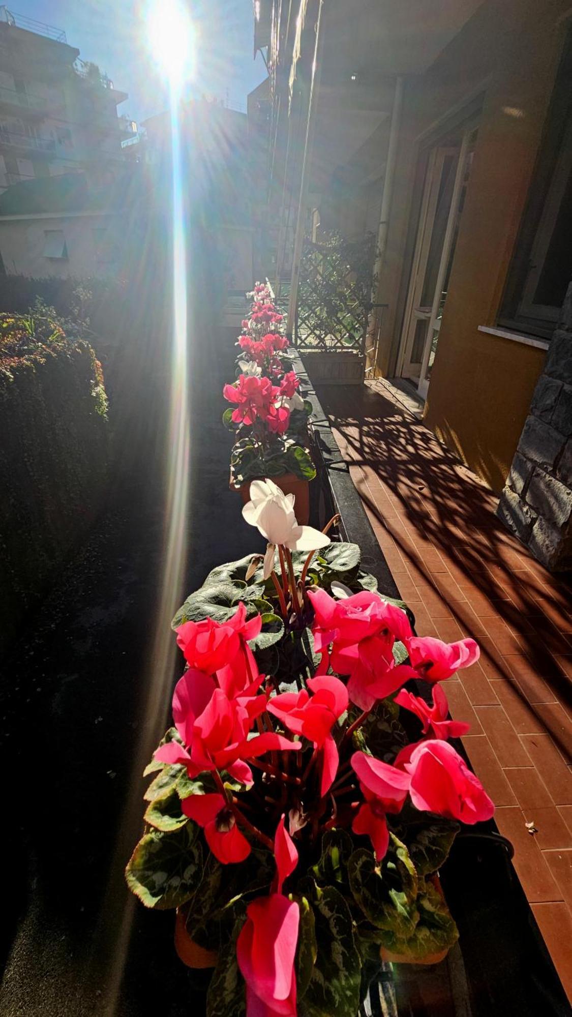 Casa Con Giardino Vicino Al Mare Apartment ราปาลโล ภายนอก รูปภาพ